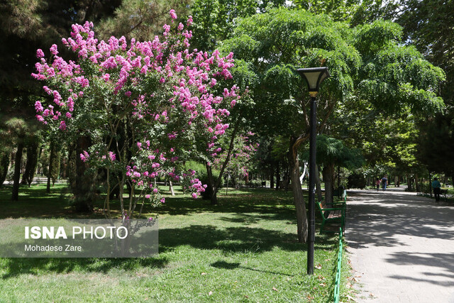 به عشق امام مهربانیها به عشق امام مهربانیها