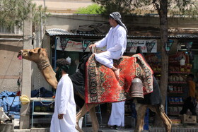 حرکت نمادین کاروان نینوا در بیرجند
