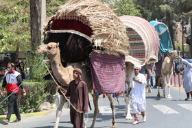 حرکت نمادین کاروان نینوا در بیرجند
