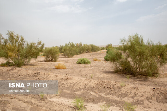 خاک مایه حیات است