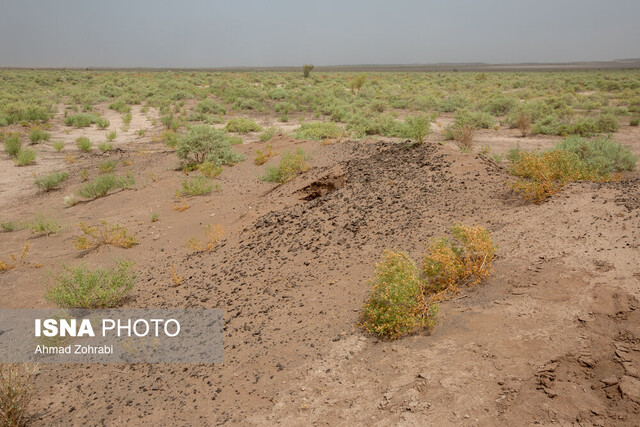 خاک مایه حیات است