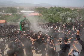 آیین سنتی نخل گردانی روز عاشورا در روستای دستگرد قم