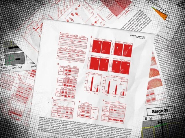 آموزههای استعفای رییس «استنفورد» برای پژوهشگران بزرگ پُرمشغله