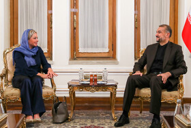 دیدار نماینده دبیرکل سازمان ملل متحد در امور عراق با وزیر امور خارجه