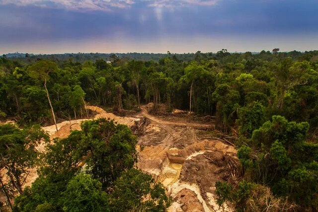 ناسا به دنبال نجات دادن جنگل‌های آمازون
