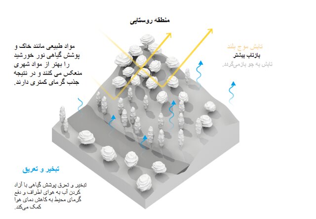 آسفالت و بتن؛ متهم اصلی گرمای هوا!