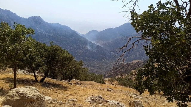 آتش جنگلهای ارتفاعات کوه «نارک» گچساران کامل مهار شد