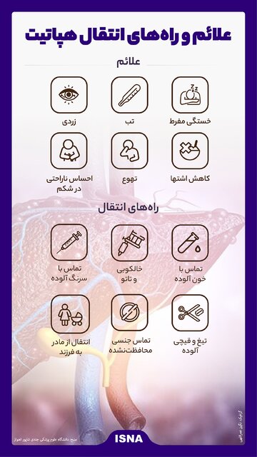 اینفوگرافیک / علائم و راههای انتقال هپاتیت