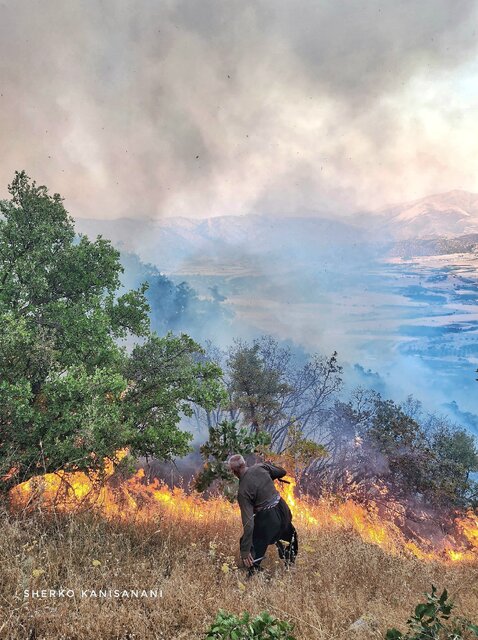 جان دادن جنگل های مریوان در آتش
