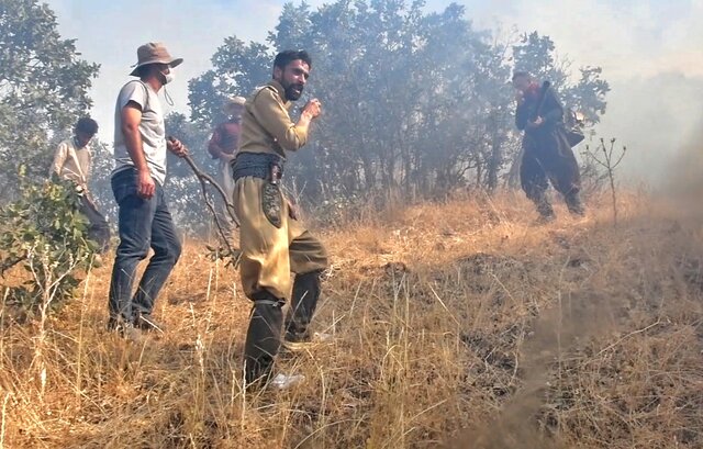 جان دادن جنگل های مریوان در آتش