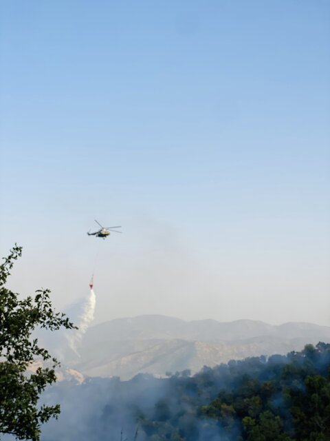 جان دادن جنگل های مریوان در آتش