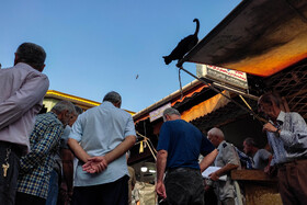 بازار ماهی فروشان «رودسر»