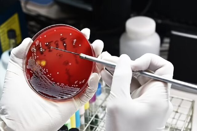 آلودگی هوا عامل افزایش مقاومت آنتیبیوتیکی است