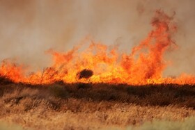 خطر آتش‌سوزی تا اولین باران پاییزی جدی است/ امسال ۳۳۴ هکتار از عرصه‌های محیط زیست کرمانشاه سوخت