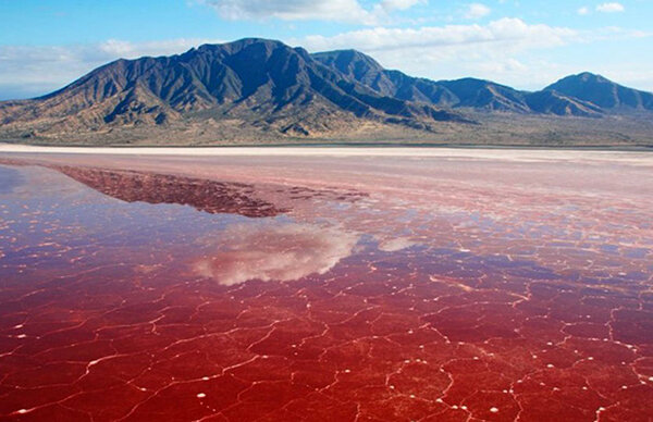 منشاء تغییر رنگ اقیانوسها چیست؟/ تغییر رنگ ۶۰ درصد اقیانوسها تا سال ۲۱۰۰