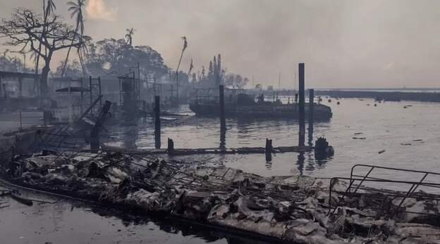 عکس: رویترز گسترش حریق جنگلی در هاوایی/ صدها نفر هنوز مفقود هستند