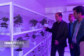 در مسیر پیشرفت