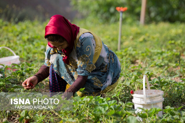 یک کارآفرین: مسئولان تنفس مدت دار برای بازپرداخت تسهیلات لحاظ کنند