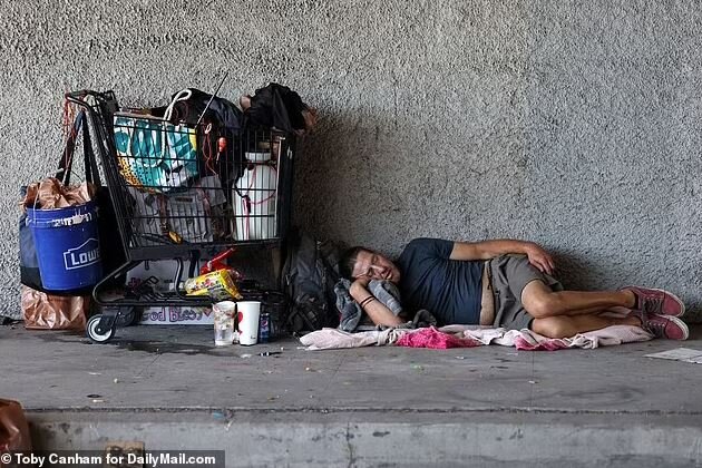 تصاویر شوکهکننده از جولان بیخانمانها در لسآنجلس