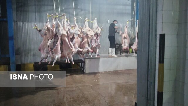 احیای برند چرم مغان اولویت اصلی مجتمع صنعتی گوشت اردبیل است