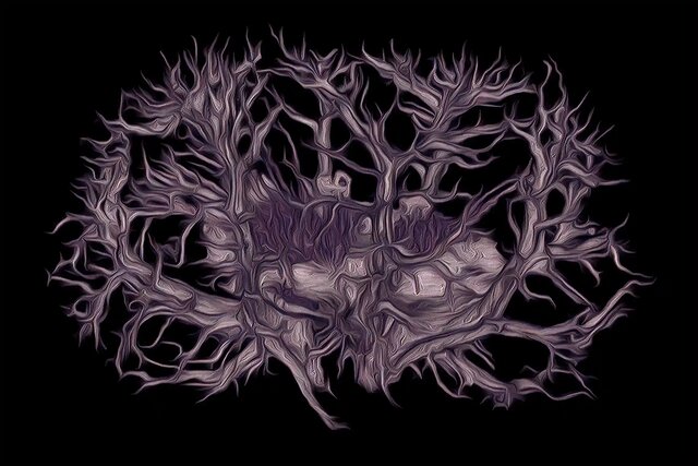 دانشمندان از میکروسکوپ رزونانس مغناطیسی به عنوان یک روش غیرتهاجمی امآرآی (MRI) برای به تصویر کشیدن اندامهای داخلی استفاده میکنند. این نمونه در واقع کلیه یک موش است. تصویر از: گری کوین (Gary Cowin) ۱۲ اثر شگفتانگیز از فینالیستهای مسابقه تصاویر میکروسکوپی