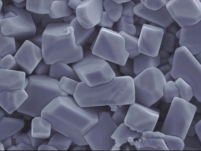 ۱۲ اثر شگفتانگیز از فینالیستهای مسابقه تصاویر میکروسکوپی