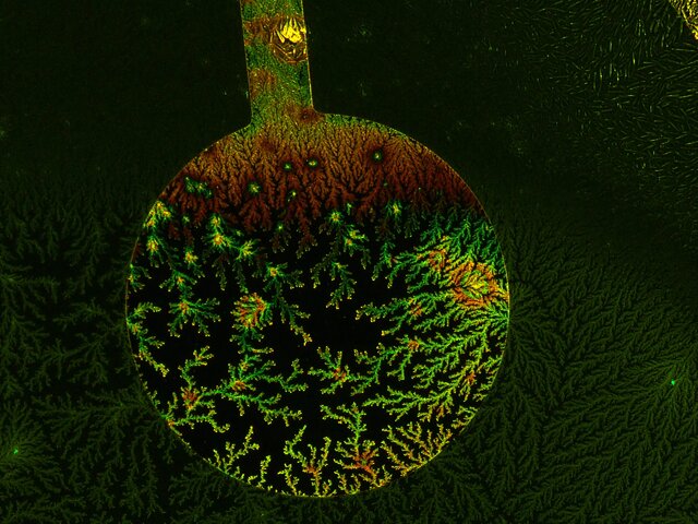 ۱۲ اثر شگفتانگیز از فینالیستهای مسابقه تصاویر میکروسکوپی