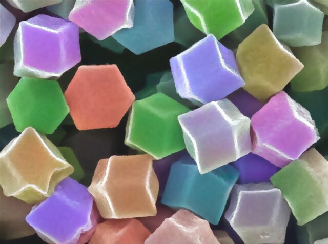 ۱۲ اثر شگفتانگیز از فینالیستهای مسابقه تصاویر میکروسکوپی