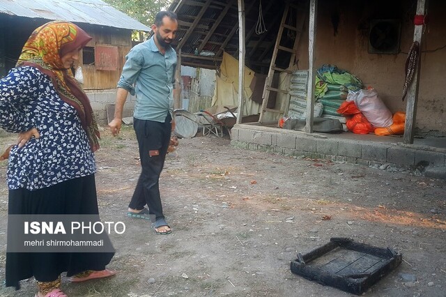 خاطره نوستالژیک برنج دودی در «فل خانه»