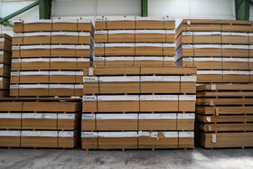 بازدید خبرنگاران از ظرفیت‌های اقتصادی منطقه آزاد ارس