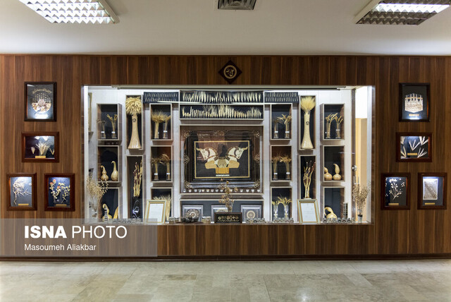 ۹۷ درصد مساحت کشور دچار خشکسالی است/جمعآوری بیش از ۷۳ هزار ژن گیاهی