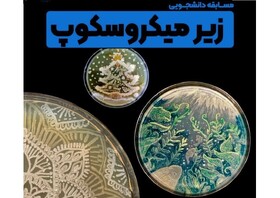 مسابقه‌ دانشجویی «زیر میکروسکوپ» برگزار می‌شود