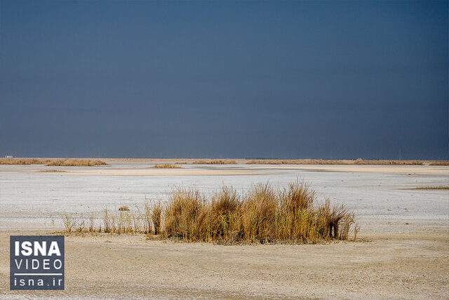 ویدیو / عوامل بیآبی تالاب هورالعظیم ویدیو / عوامل بیآبی تالاب هورالعظیم