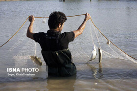 برداشت سالانه ۶۴ تن ماهی در مهرستان
