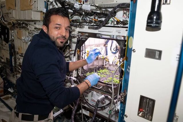 عسل خوردن فضانورد اماراتی در فضا را تماشا کنید