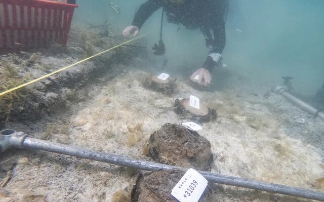 کشف قدیمیترین روستای اروپا