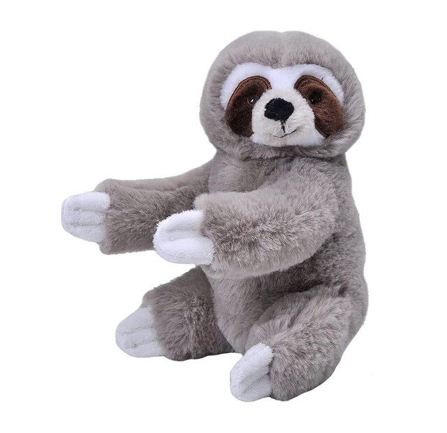 سریعترین «تنبل» جهان به فضا رفت