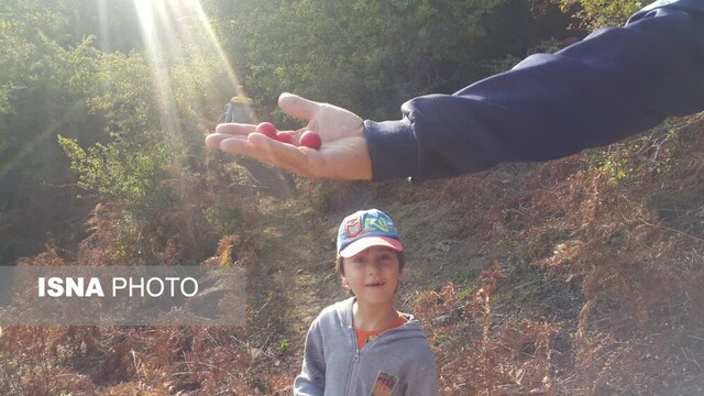 سوگند به کوه های ایستاده در مه تالش/ سفر به «باغو» و «تیلار»