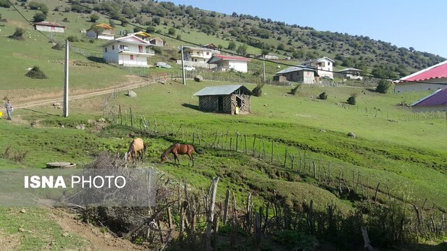 سوگند به کوه های ایستاده در مه تالش/ سفر به «باغو» و «تیلار»