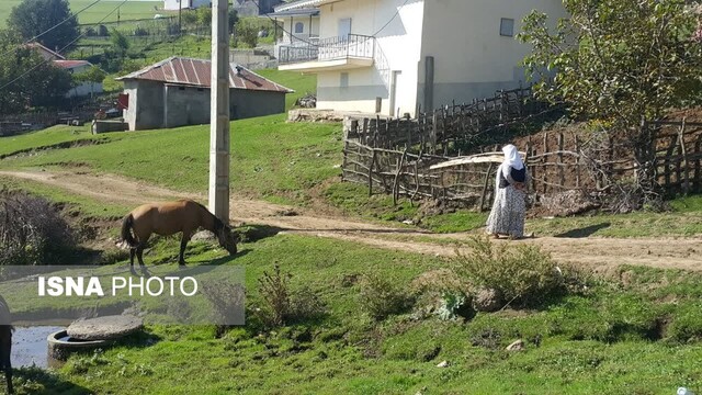 سوگند به کوه های ایستاده در مه تالش/ سفر به «باغو» و «تیلار»
