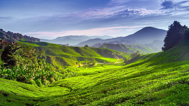 قیمت تور مالزی با سلام ایر و ایرعربیا