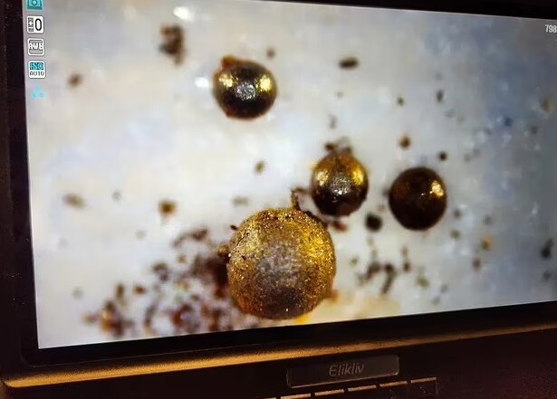 گویهای عجیب اقیانوس آرام احتمالا منشاء فرازمینی دارند!