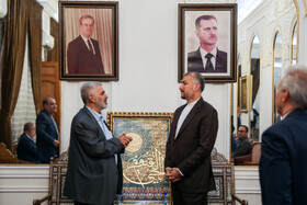 دیدار حسین امیرعبداللهیان با تولیت حرم حضرت زینب (س)