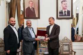 دیدار حسین امیرعبداللهیان با تولیت حرم حضرت زینب (س)