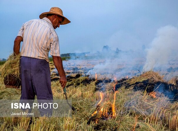 آتش زدن ضایعات کشاورزی، فرسایش خاک را افزایش می دهد