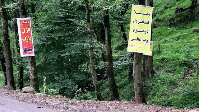 زیبای شلخته! + عکس