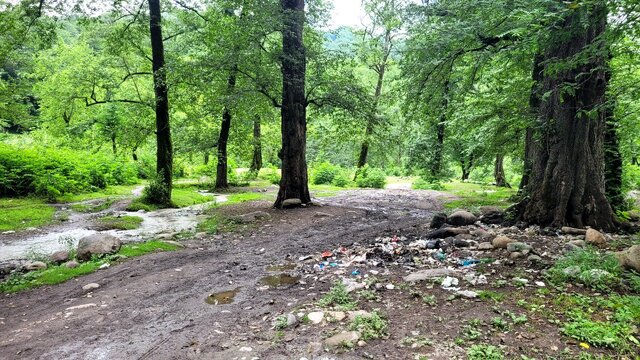 زیبای شلخته! + عکس