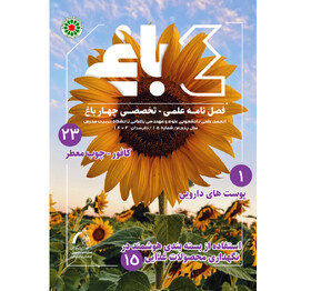 شماره جدید نشریه «چــهار بــاغ» منتشر شد