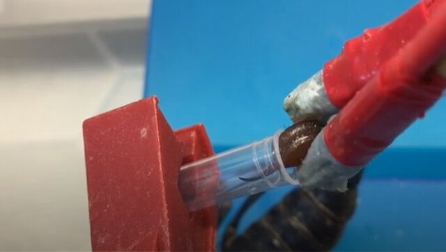 گرانقیمتترین مایع جهان که یک لیترش ۵۰۰ میلیارد تومان است