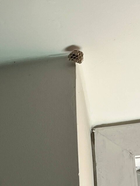 وضعیت اسفناک خوابگاه دوومیدانیکاران/ "باید با بطری کولر را آب کنیم"